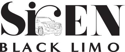 Limo and Chauffeur Service Chicago Logo